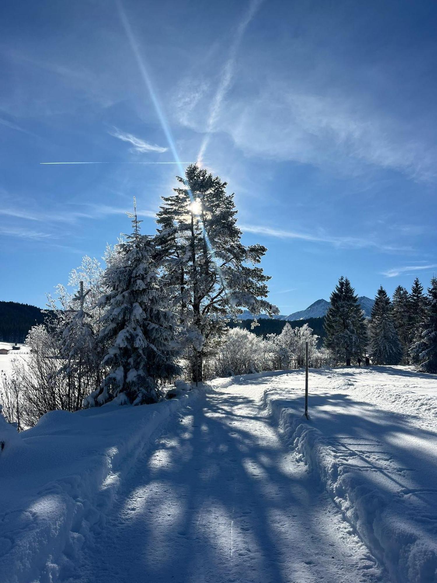 Alpenlandhaus Menardi Seefeld in Tirol Luaran gambar